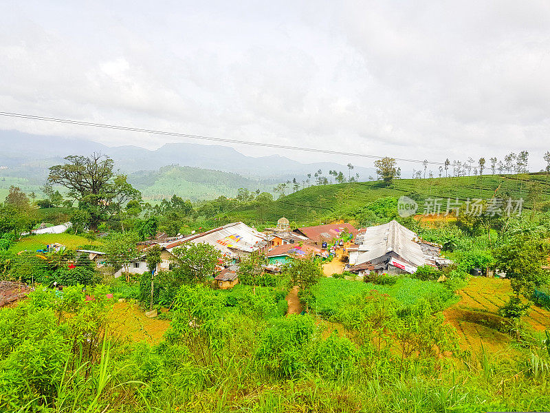 在斯里兰卡的火车旅行通过茶叶种植园Ella, Nuwara Eliya和Kandy